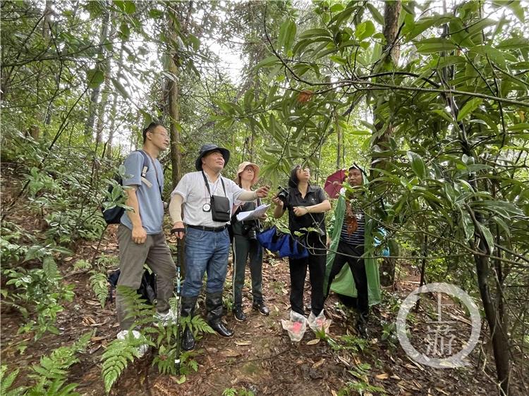 站长资源平台电脑版下载(新网站如何才能更好的进行推广)