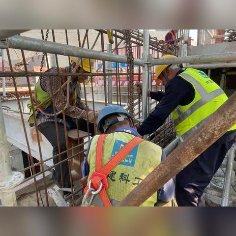 西安市园林生态集团待遇怎么样