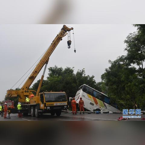 甘肃车牌号是怎么定的？