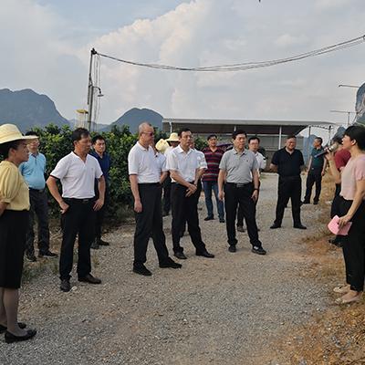 桂林市新能源工业园在哪里