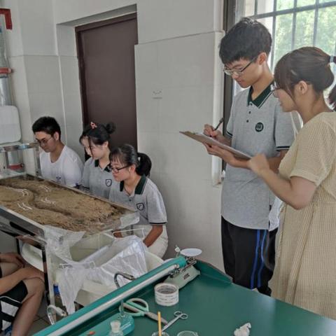 合肥自制玩教具相关长尾关键词有哪些