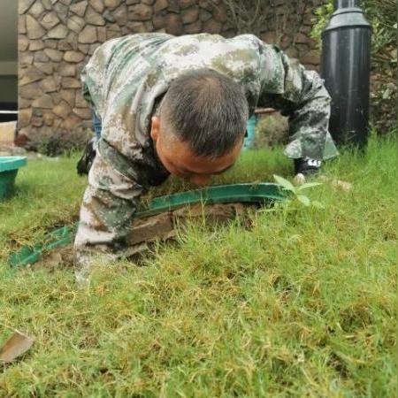 杭州市富阳区什么小区