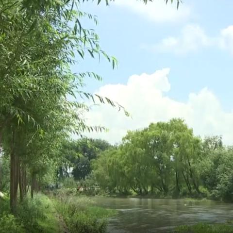 武汉市青山区发展怎么样