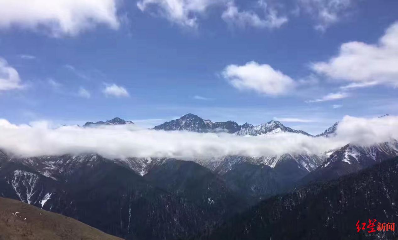 【疫情最新数据消息中高风险地区名单
 /疫情最新数据消息中高风险地区名单查询】