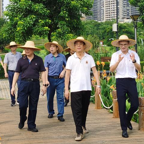 南宁海绵厂的相关长尾关键词有哪些