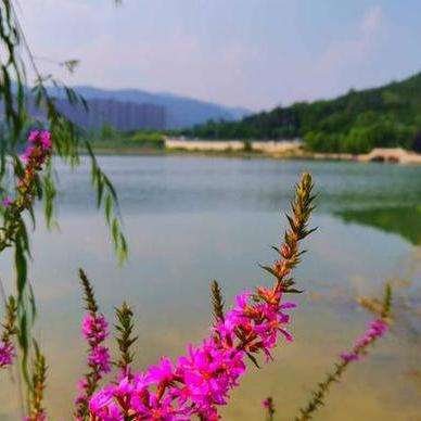 济南市哪里能赶海钓鱼