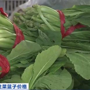 【河南今日菜价】2025年5月31日河南菜价是多少