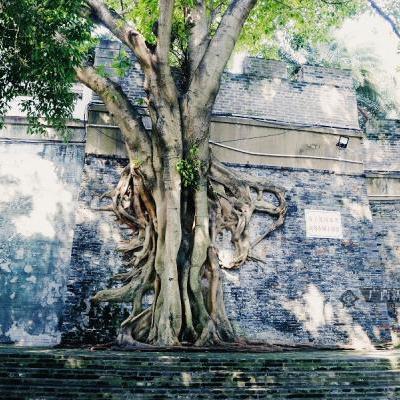 南宁市最繁华是哪个区域