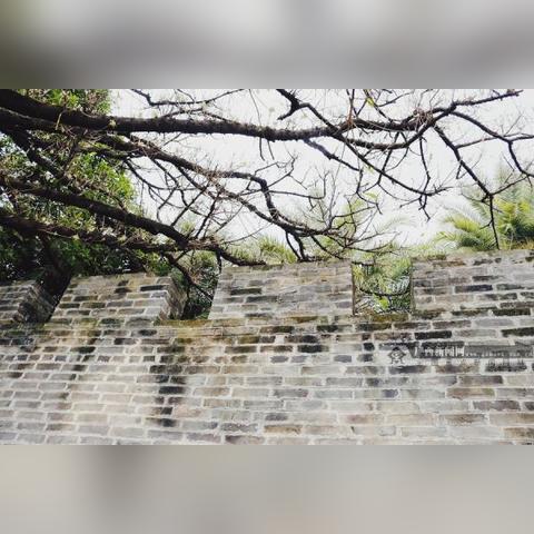 南宁哪家医院收暑期见习生？