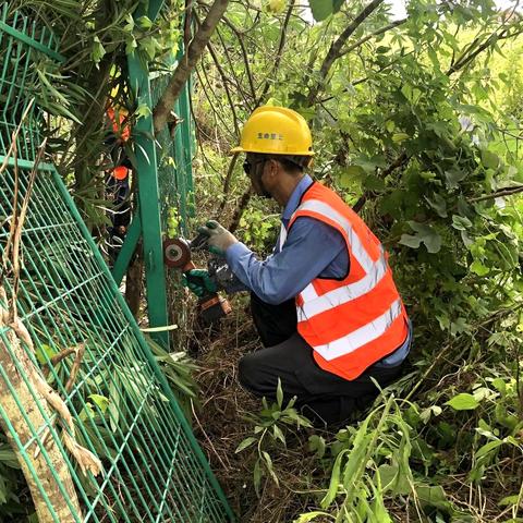 无锡市中桥疫情情况的长尾关键词有什么