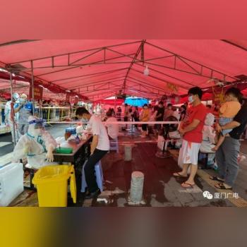 厦门市二院核酸报告多久