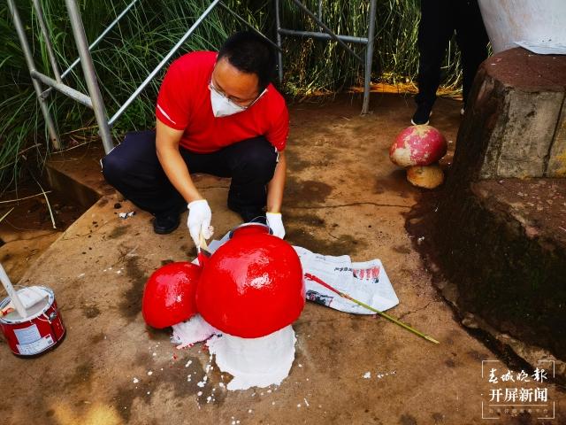 昆明一办公室内长出巨大蘑菇