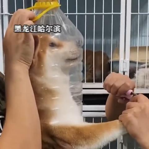 哈尔滨新娘指甲店相关长尾关键词有哪些