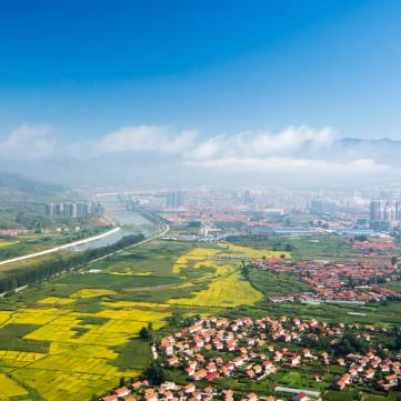 承德和河南哪个好找工作