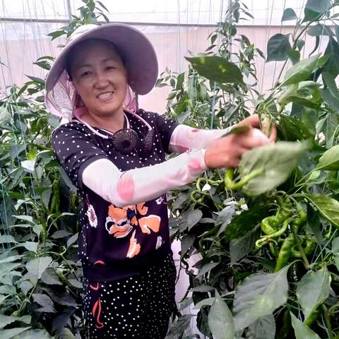 长沙市企业上市服务中心怎么样