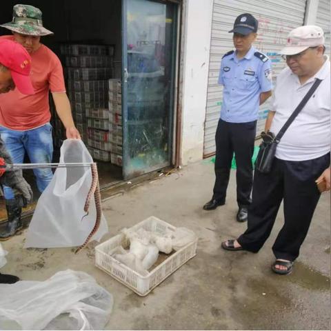 合肥花鸟鱼虫市场相关长尾关键词有哪些