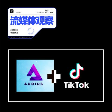 tiktok什么