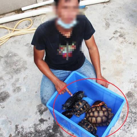 广州越秀宠物友好相关长尾关键词有哪些