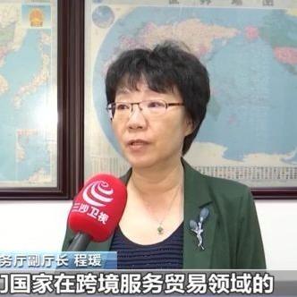 海南跨境电商有什么不足