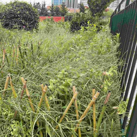 临沂市新东方教育怎么样