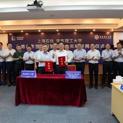 上海石化有哪些子公司