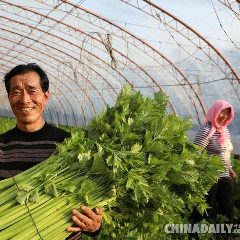 社会事务专职网格员待遇？