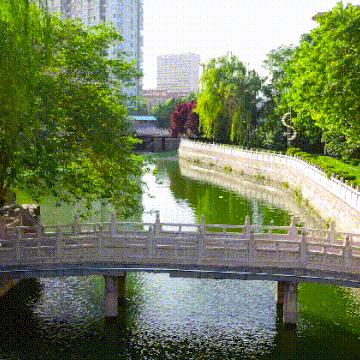 2021石家庄市党代会的长尾关键词有哪些
