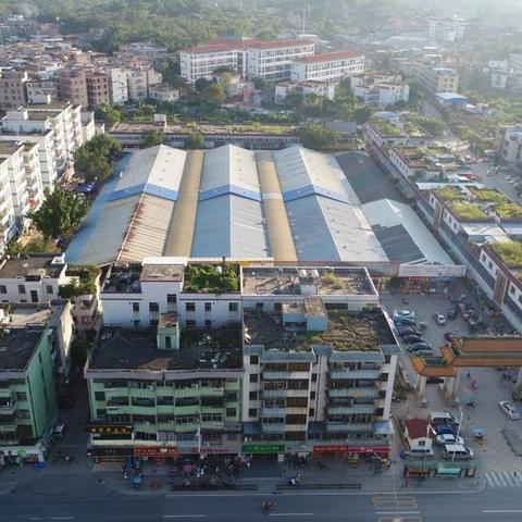 广州九佛知识城在什么地方？