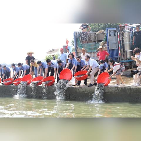 广东佛山市顺德检查院的长尾关键词有哪些