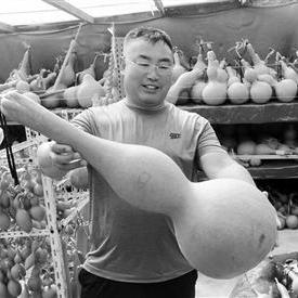 沈阳旧架子相关长尾关键词有哪些