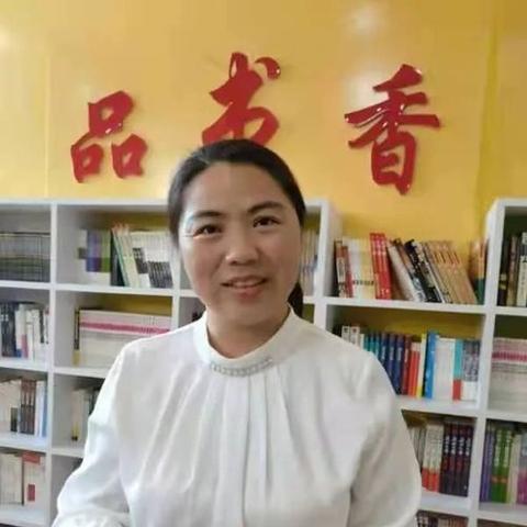 沈阳市市内五区有多少个小学？