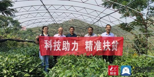 “因花而来，为茶而驻”——费县春曦茶业茶旅融合“闯”新路
