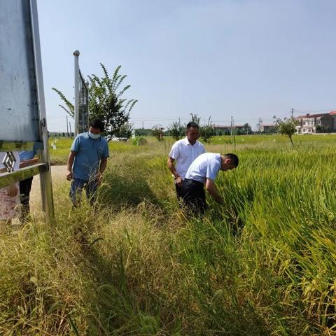 武汉市关山村属哪个区管