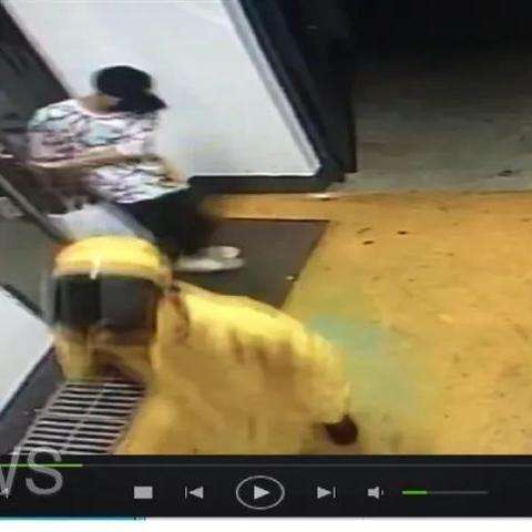 武汉市中南国际城c座在什么地方