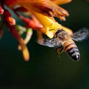 哈尔滨市有多少岁