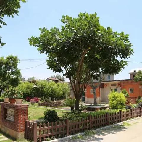 泉州市未来建高楼多少层