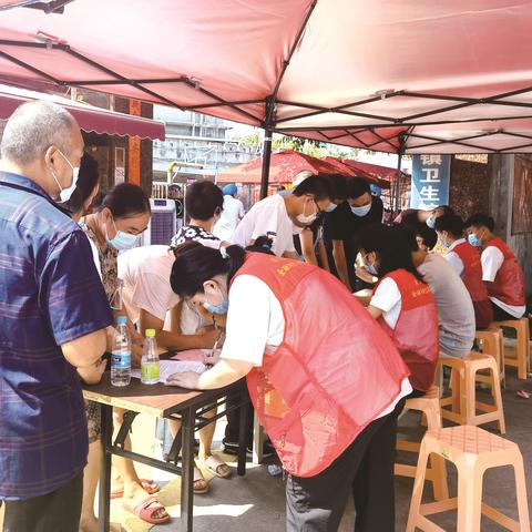福建好石斛怎么样