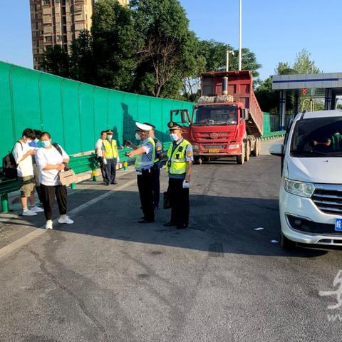 合肥市区的车牌号是多少？