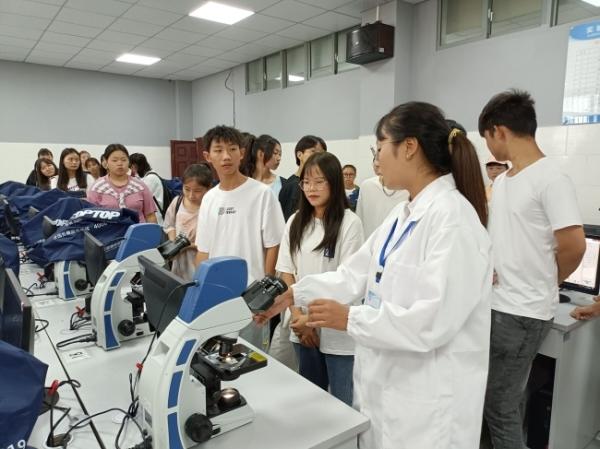 国外医药论文摘要怎么写pubmed影响因子多久更新一次