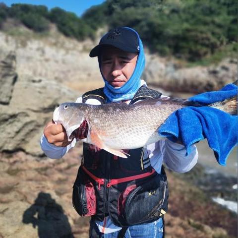 温州市哪个码头好钓鱼的