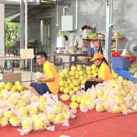 惠州海外电商站在哪里 相关的长尾关键词有哪些 