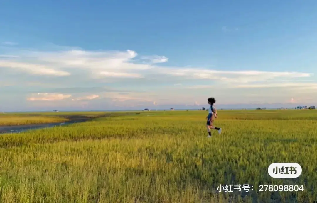 小红书模板规格不同 小红书ppt模板