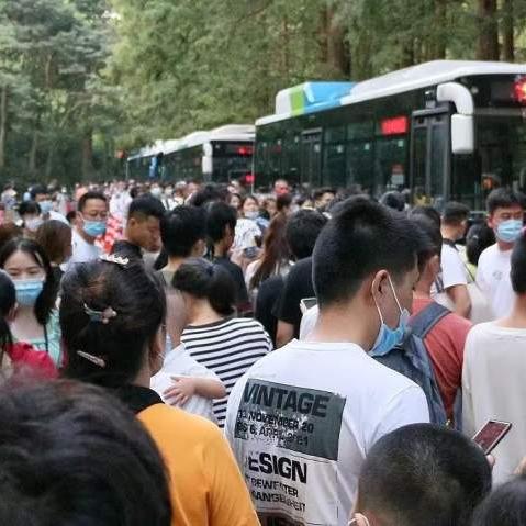 杭州公交集团员工社保几档？