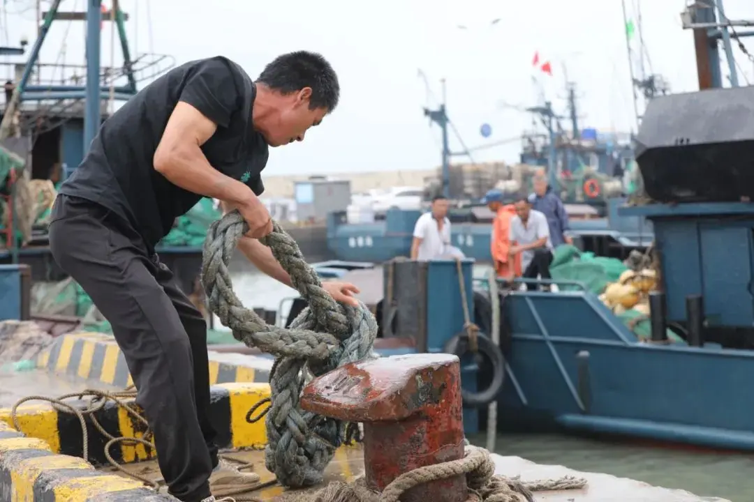 日照哪里能出海 日照哪里能出海捕鱼