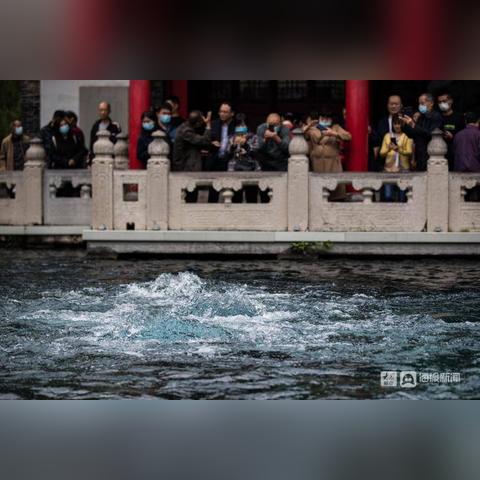 济南56路公交相关长尾关键词有哪些