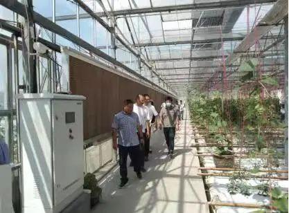 金华市农业农村生态能源建设工作推进会在东阳召开
