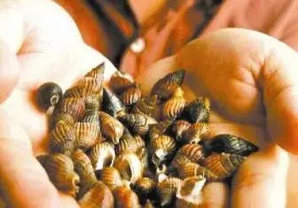 无货源店铺订单怎么发货快 无货源订单怎么发货