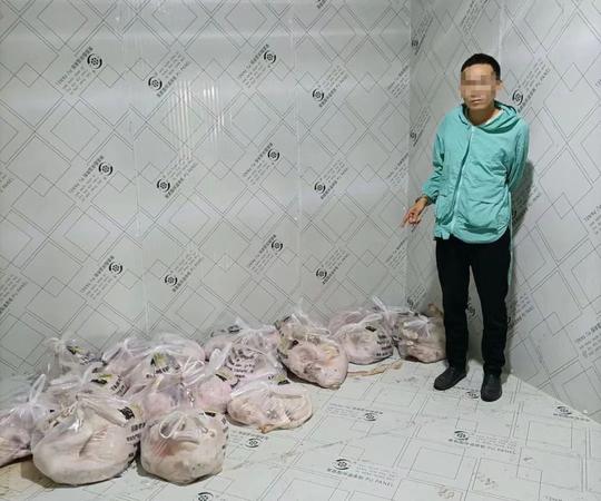 捕杀犬只进行售卖泸州公安抓获7名“狗肉生意”嫌疑人