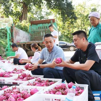广州白云水果批发市场相关长尾关键词有哪些