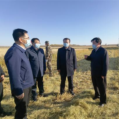 巴彦县怎么样啊？